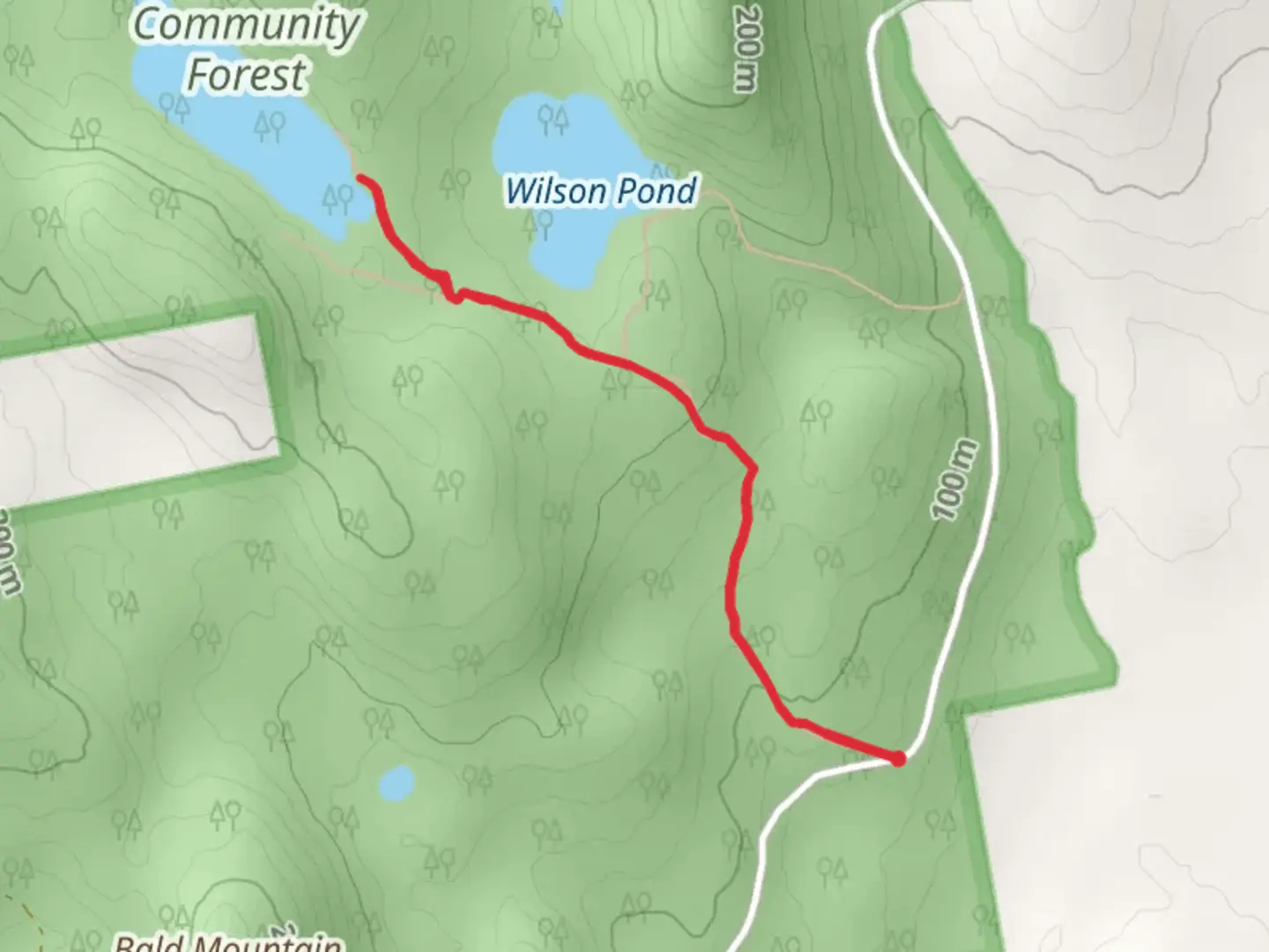 An image depicting the trail Partridge Pond Trail and its surrounding area.