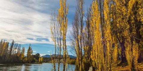 An image depicting the trail Upper Clutha River Track and its surrounding area.