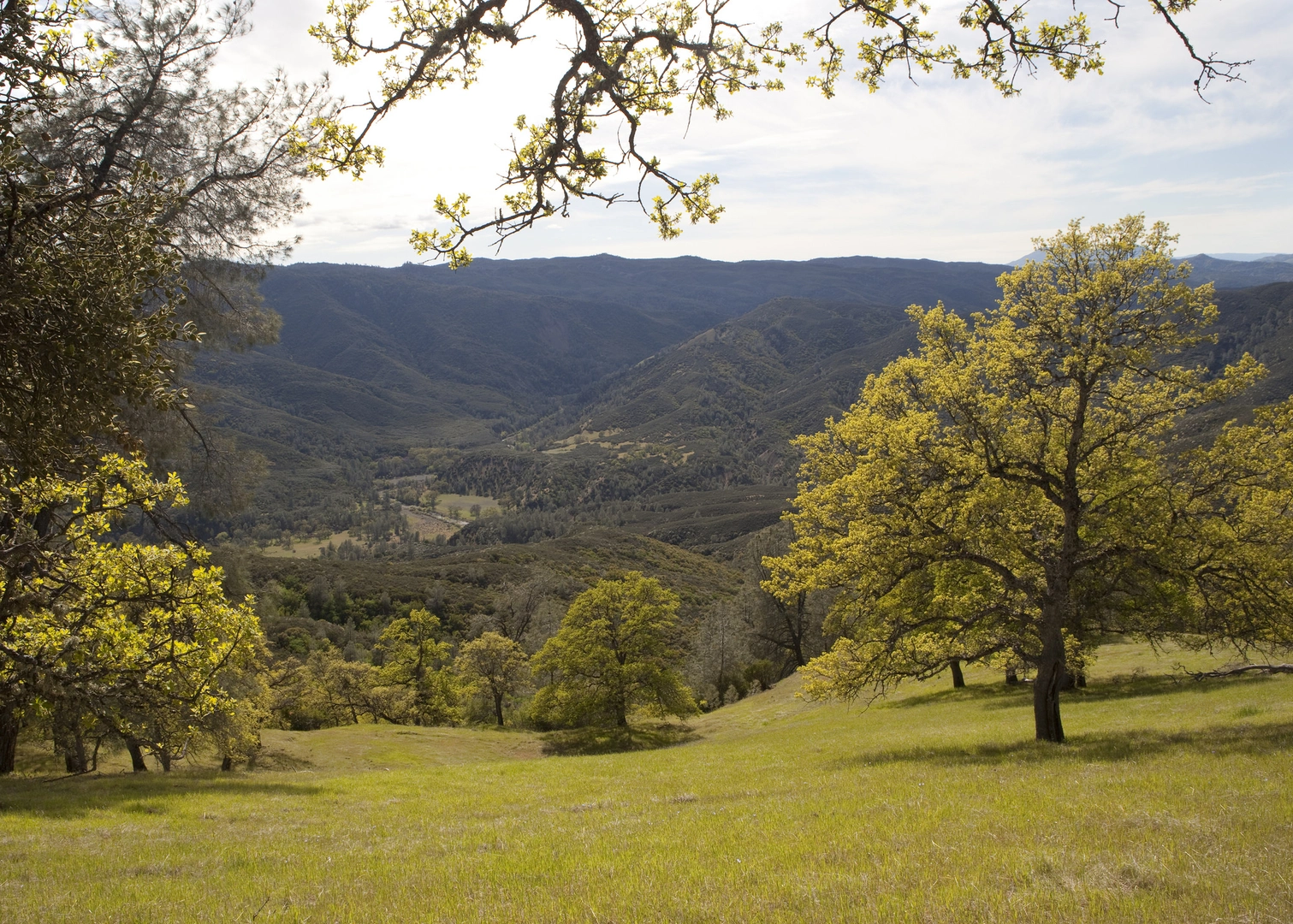 An image depicting the trail Connector Trail Between Judge Davis and Cache Creek Ridge Loop and its surrounding area.