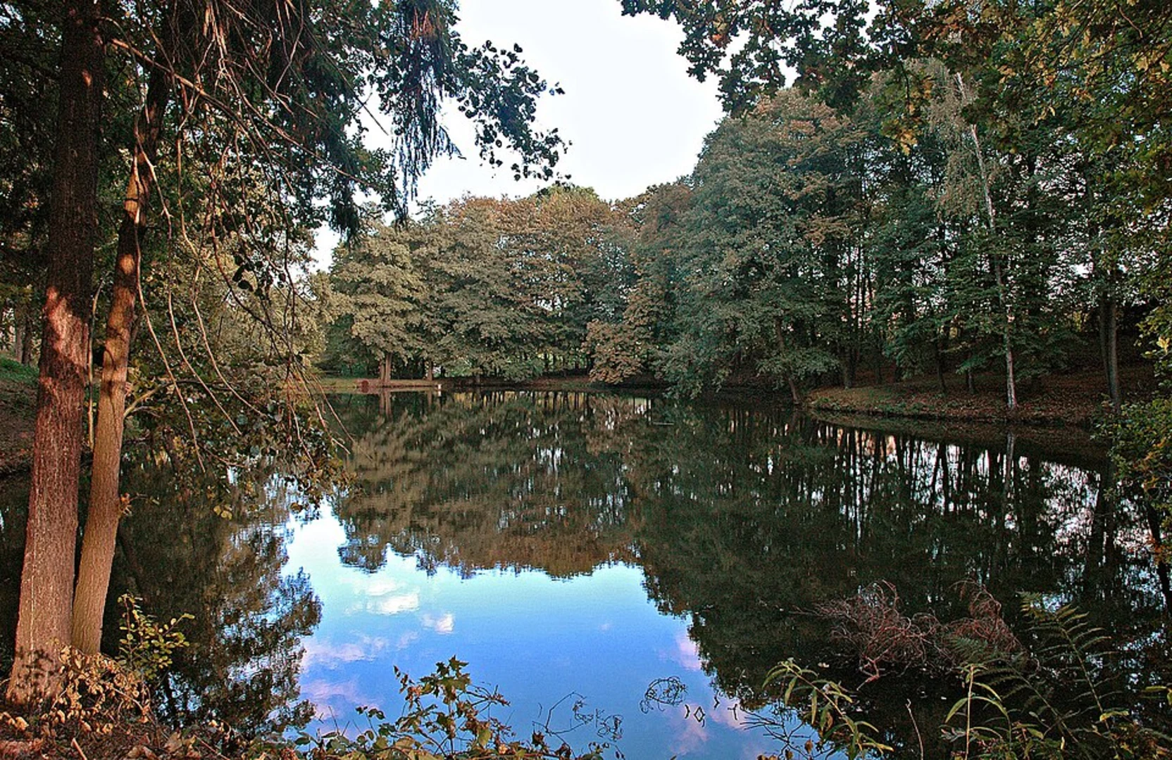 An image depicting the trail Rundwanderweg Waldpark Zwickau and its surrounding area.