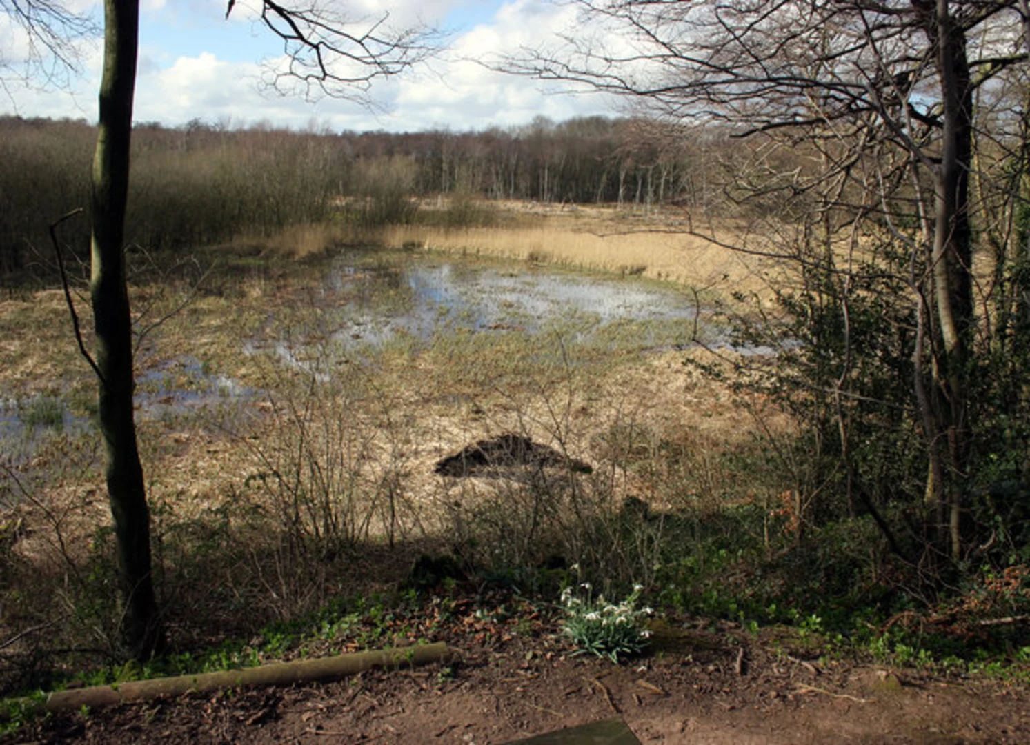 An image depicting the trail Norbury Loop and its surrounding area.