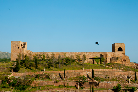 Arcos de Salinas - Mora de Rubielos PR TE 7