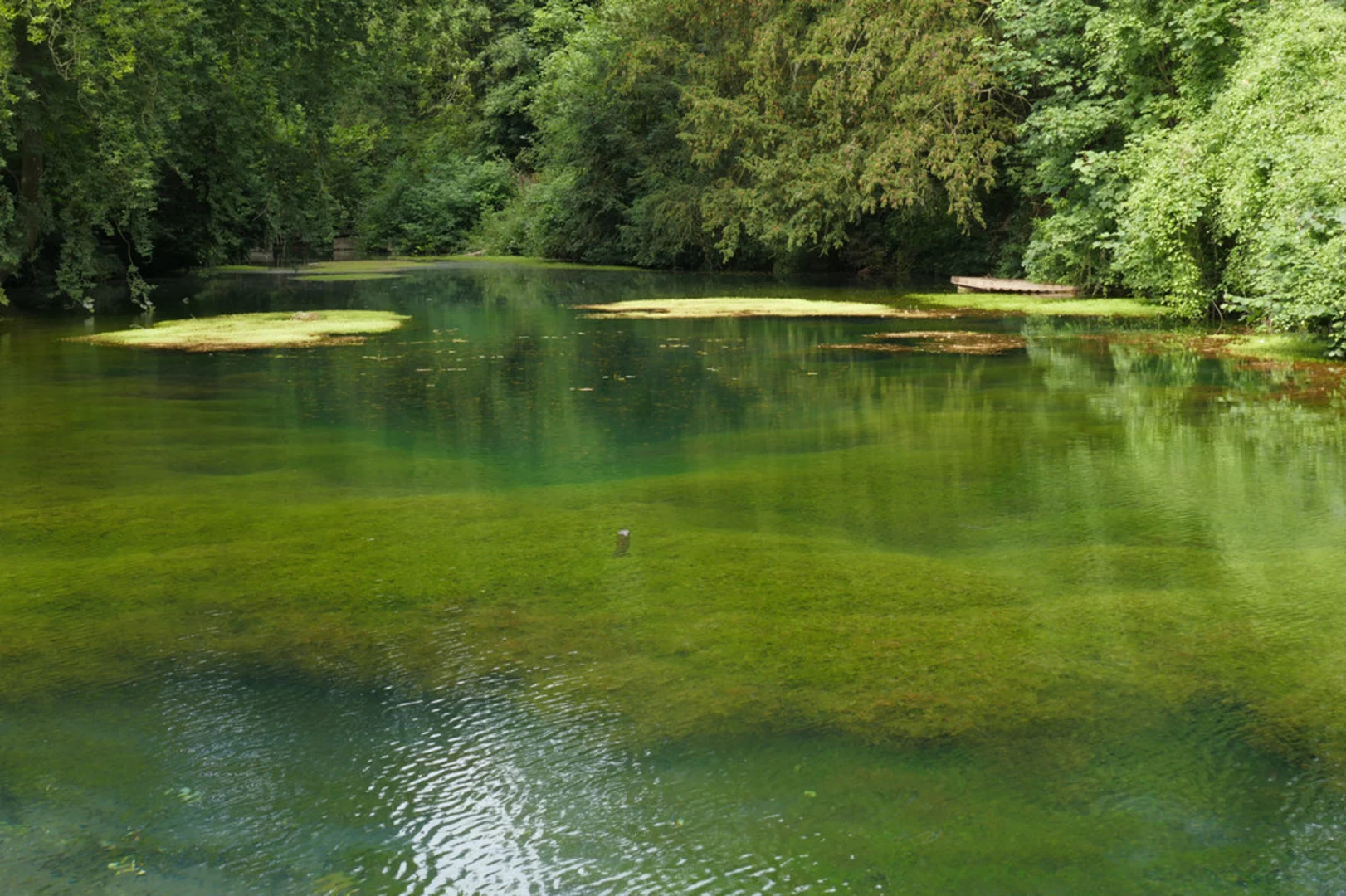 An image depicting the trail Silent Pool Walk and its surrounding area.