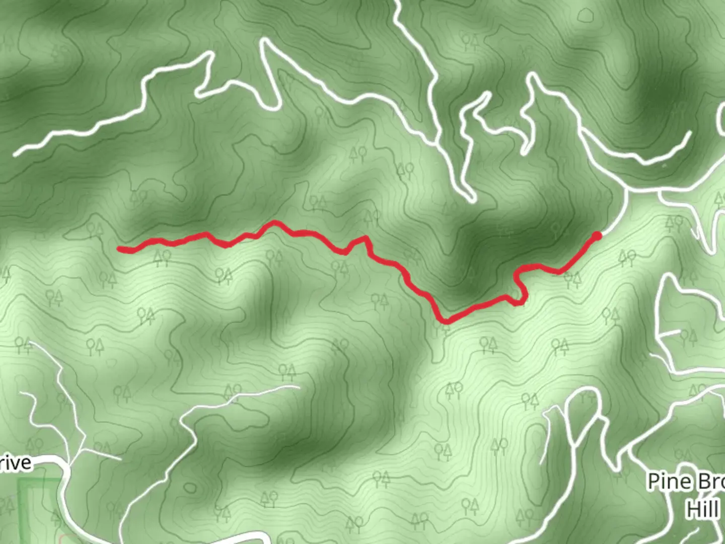 An image depicting the trail Anne U White Trail and its surrounding area.