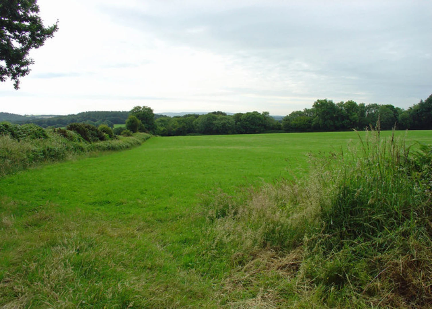 An image depicting the trail Carrickbyrne Hill Trail and its surrounding area.