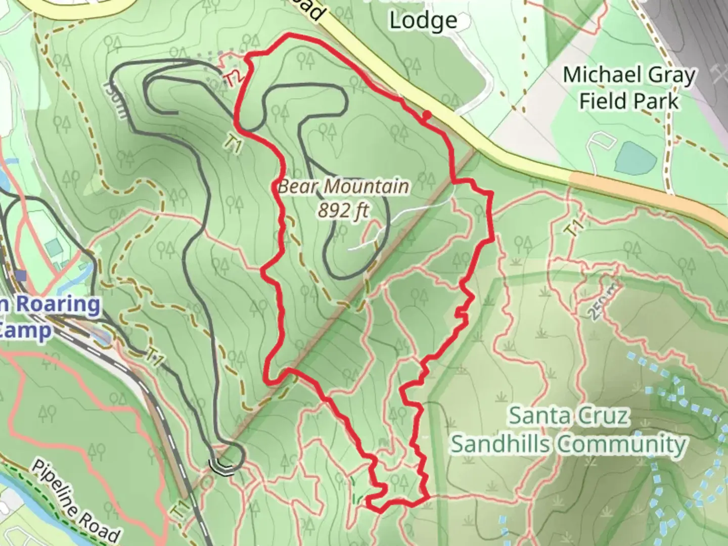 An image depicting the trail Cathedral Grove Loop and its surrounding area.