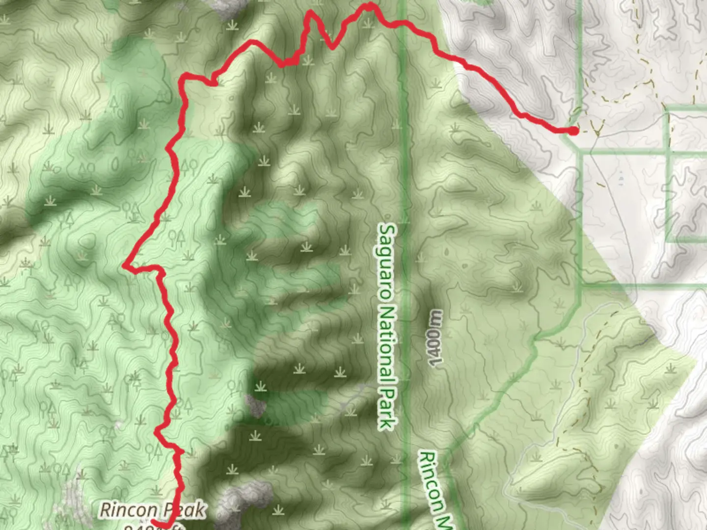 An image depicting the trail Rincon Peak Trail and its surrounding area.