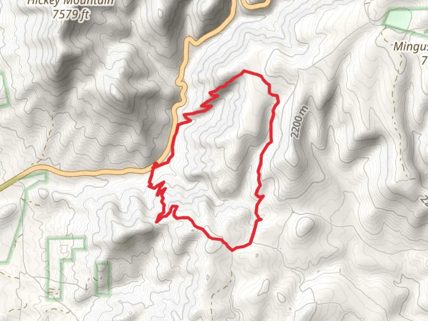 An image depicting the trail Forest Trail 111 Loop and its surrounding area.