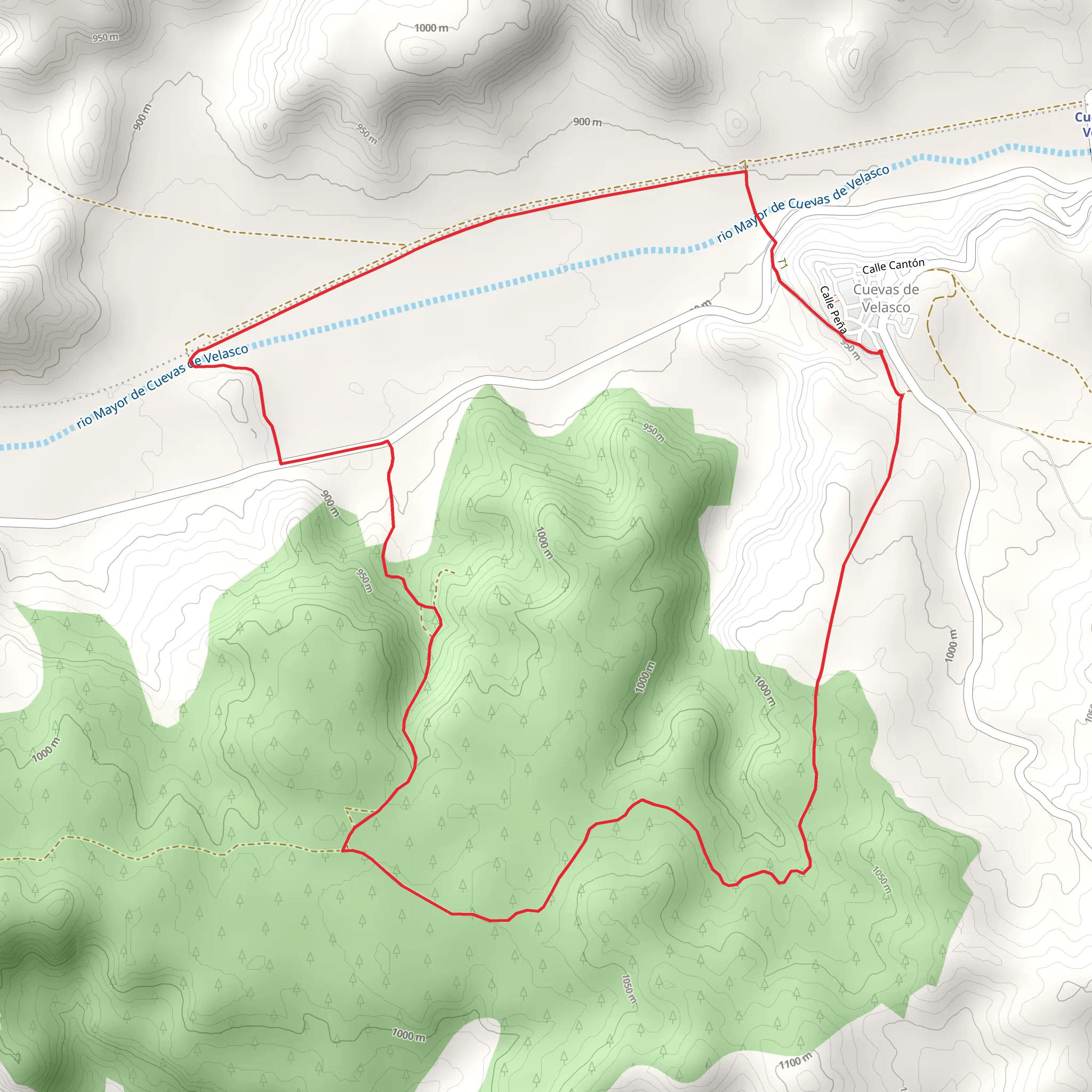 Monte de Abajo Path PR CU 111 mobile static map