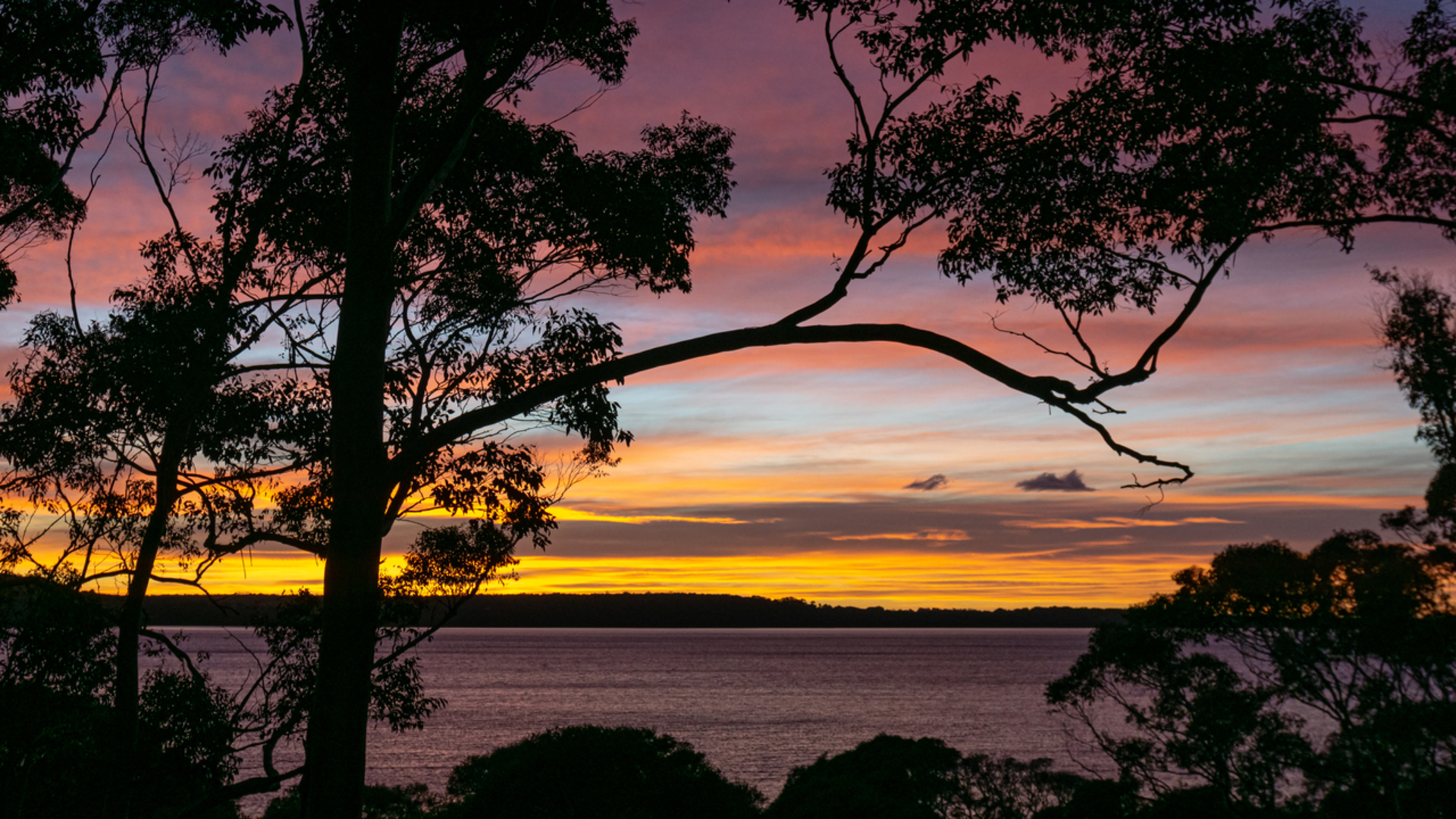 An image depicting the trail Denmark to Nornalup Heritage Rail Trail and its surrounding area.