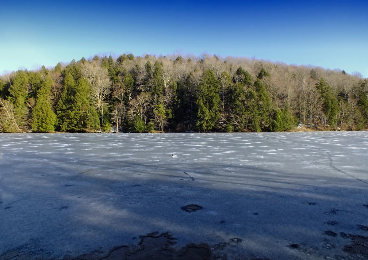 Snowflake Trail and St Hollow Trail Loop