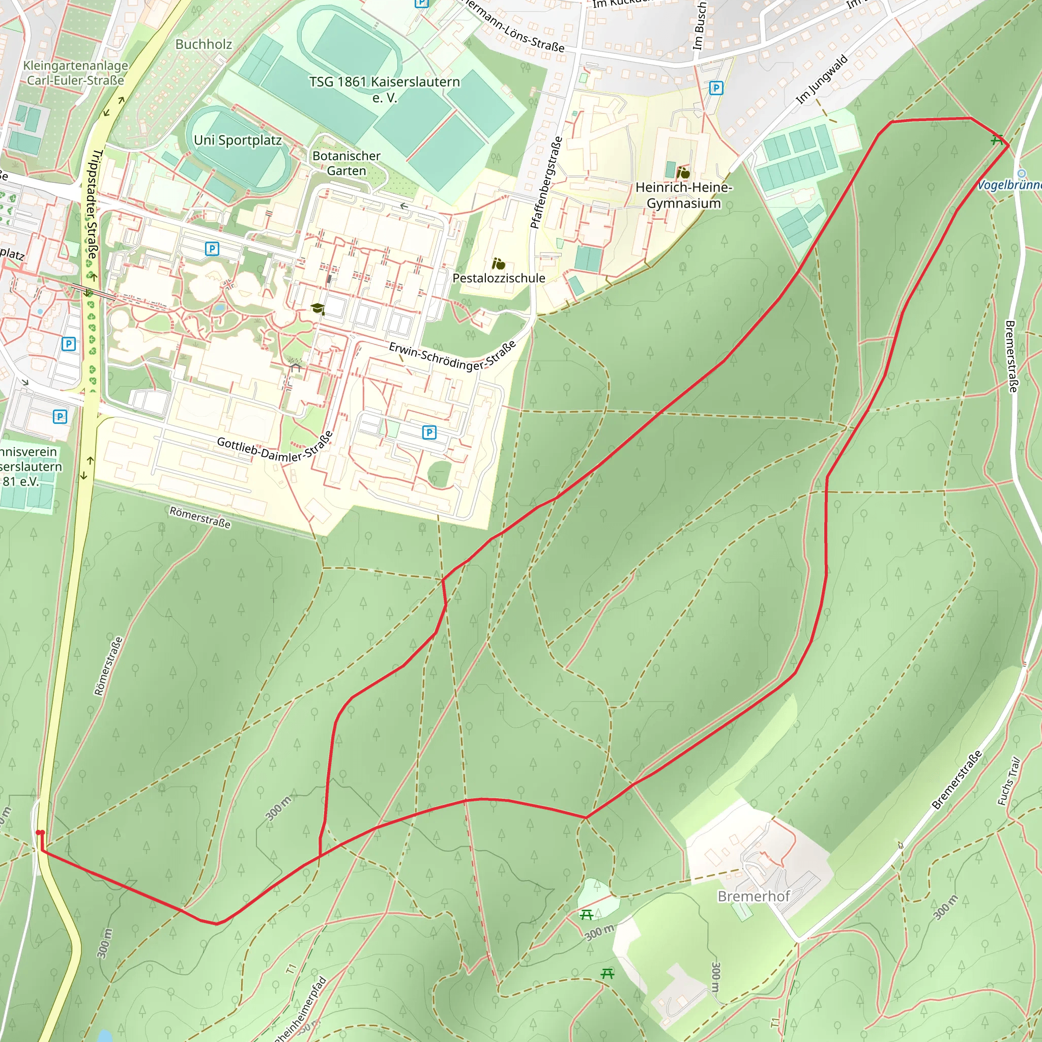 Saar Pfalz Weg and Waldlehrpfad Bremerhof Loop mobile static map