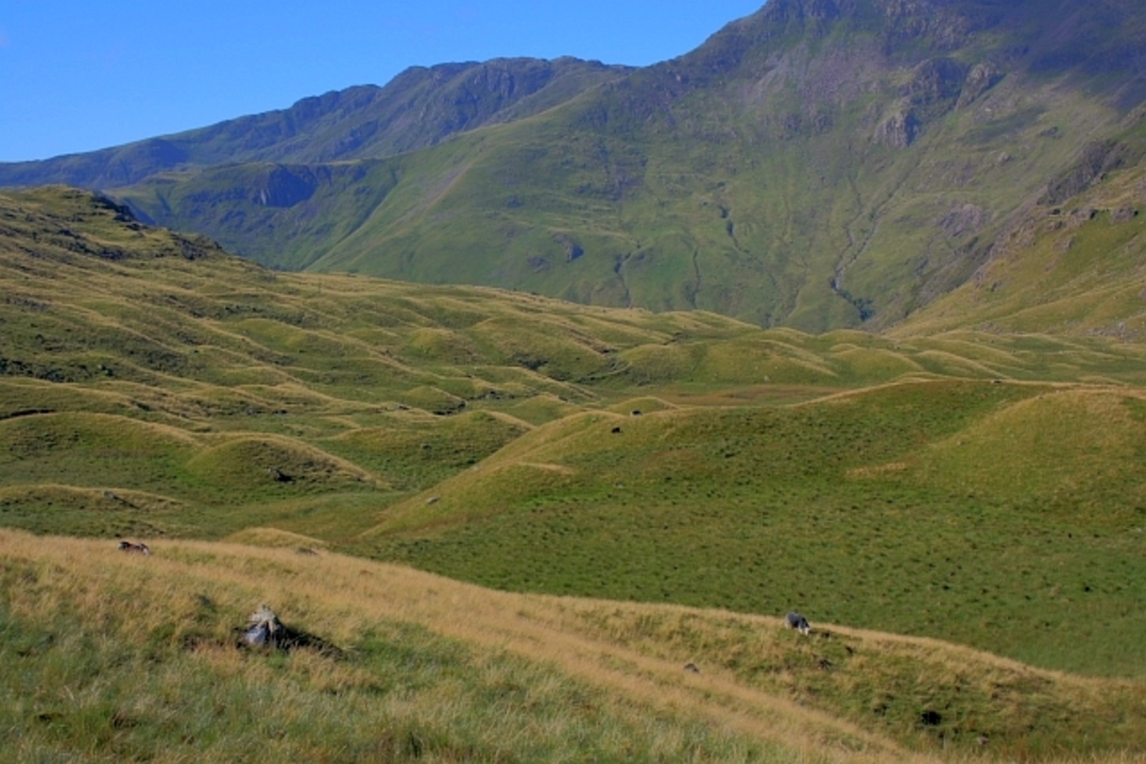 An image depicting the trail Rossett Pike, Angle Tarn and Stake Pass Loop from Old Dungeon Ghyll Hotel and its surrounding area.