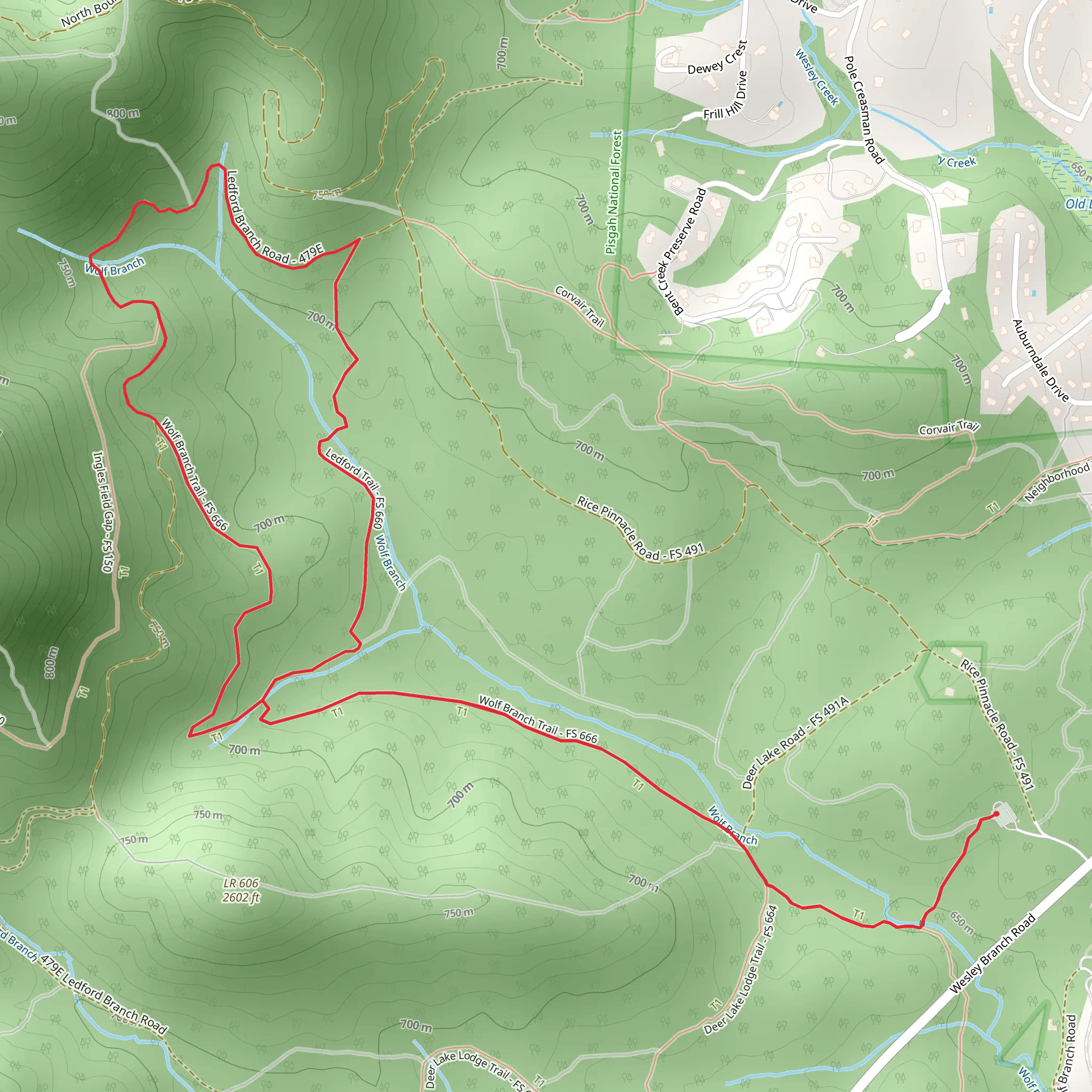 Wolf Branch and Ledford Loop Trail mobile static map