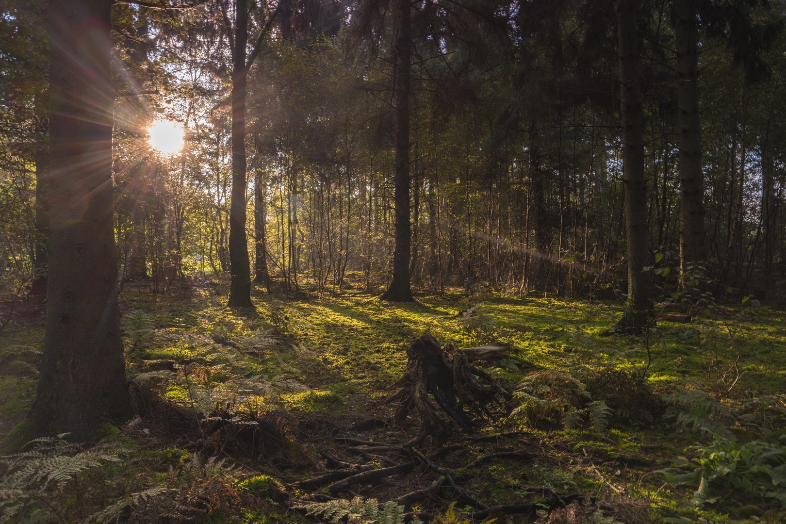 An image depicting the trail Urk to Houtmolen via Ijsselmeer and its surrounding area.