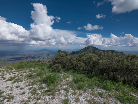 An image depicting the trail Pat Scott Canyon via Comfort Spring Trail and its surrounding area.
