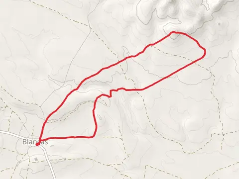 White Paramera PR TE 54