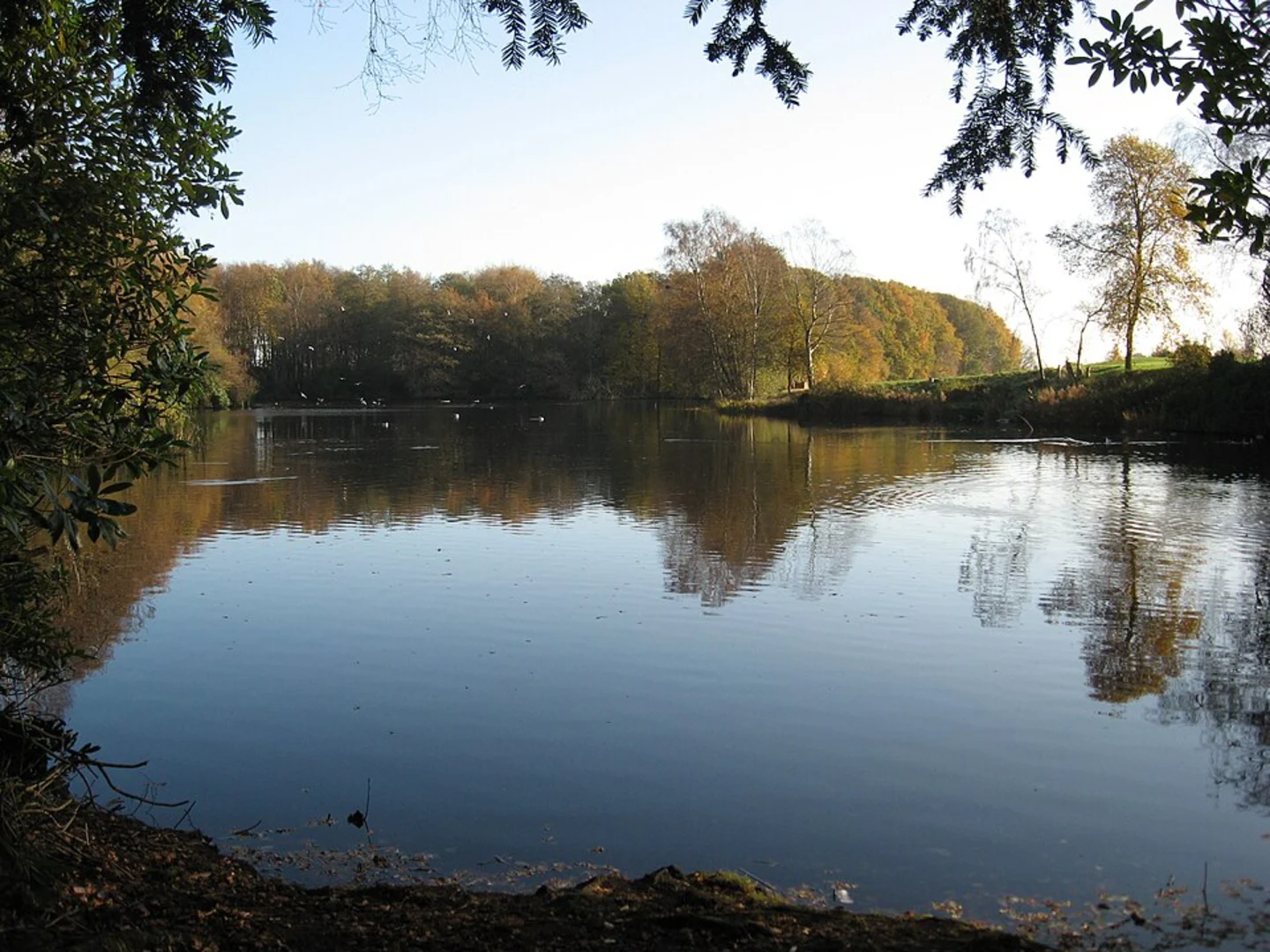 An image depicting the trail The Rookery Loop and its surrounding area.