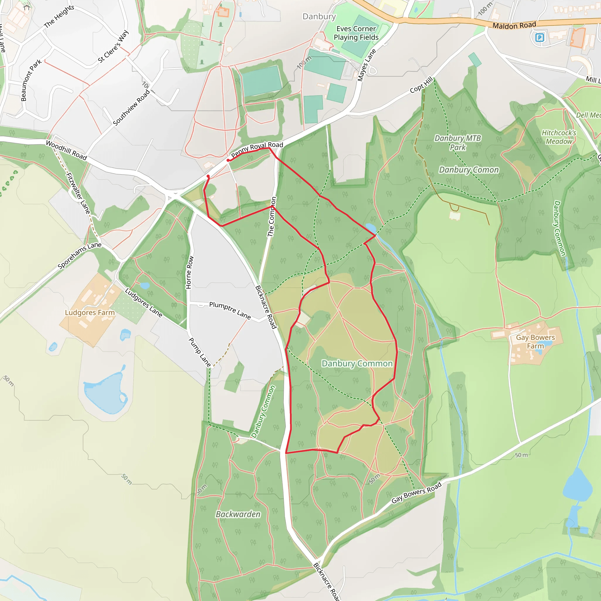 Danbury Common to Lingwood Common Walk - Chelmsford - Essex mobile static map