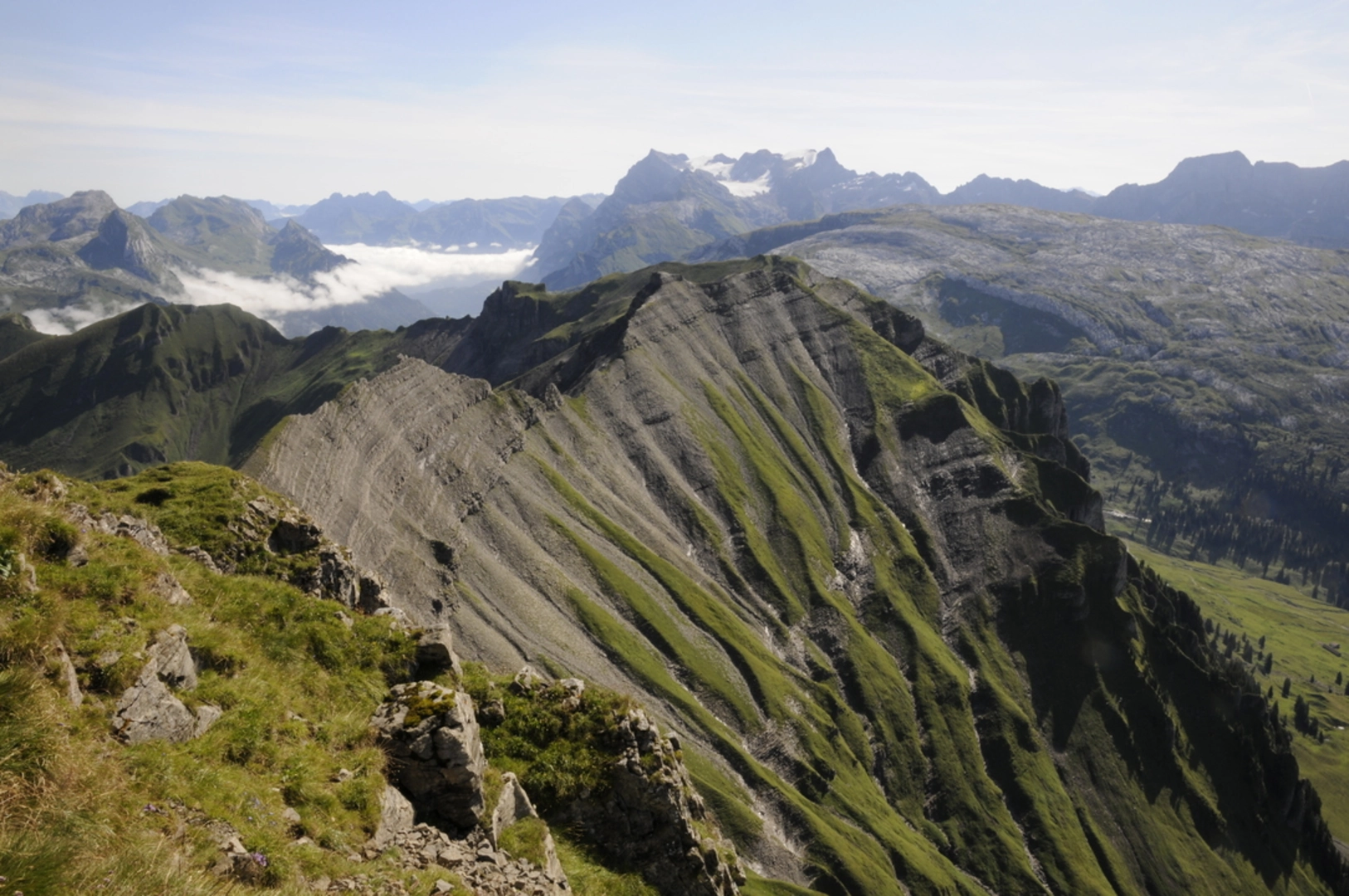An image depicting the trail Muotathal - Eigeliswald Loop Trail and its surrounding area.