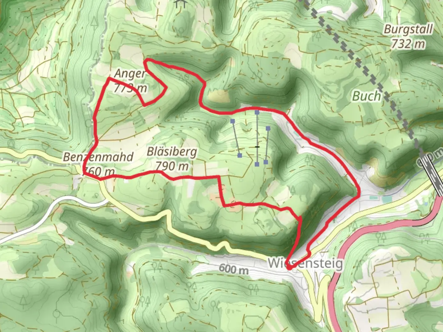 An image depicting the trail Wiesensteig, Eckhole and Anger Loop and its surrounding area.