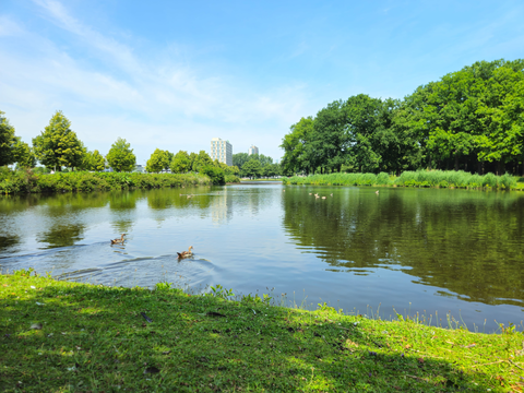 Witte Brug to Centrum via Abbertbos and Drontermeer