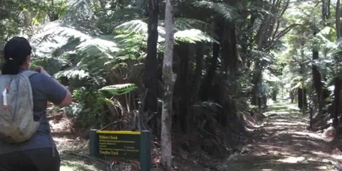 An image depicting the trail Tramline Track and its surrounding area.