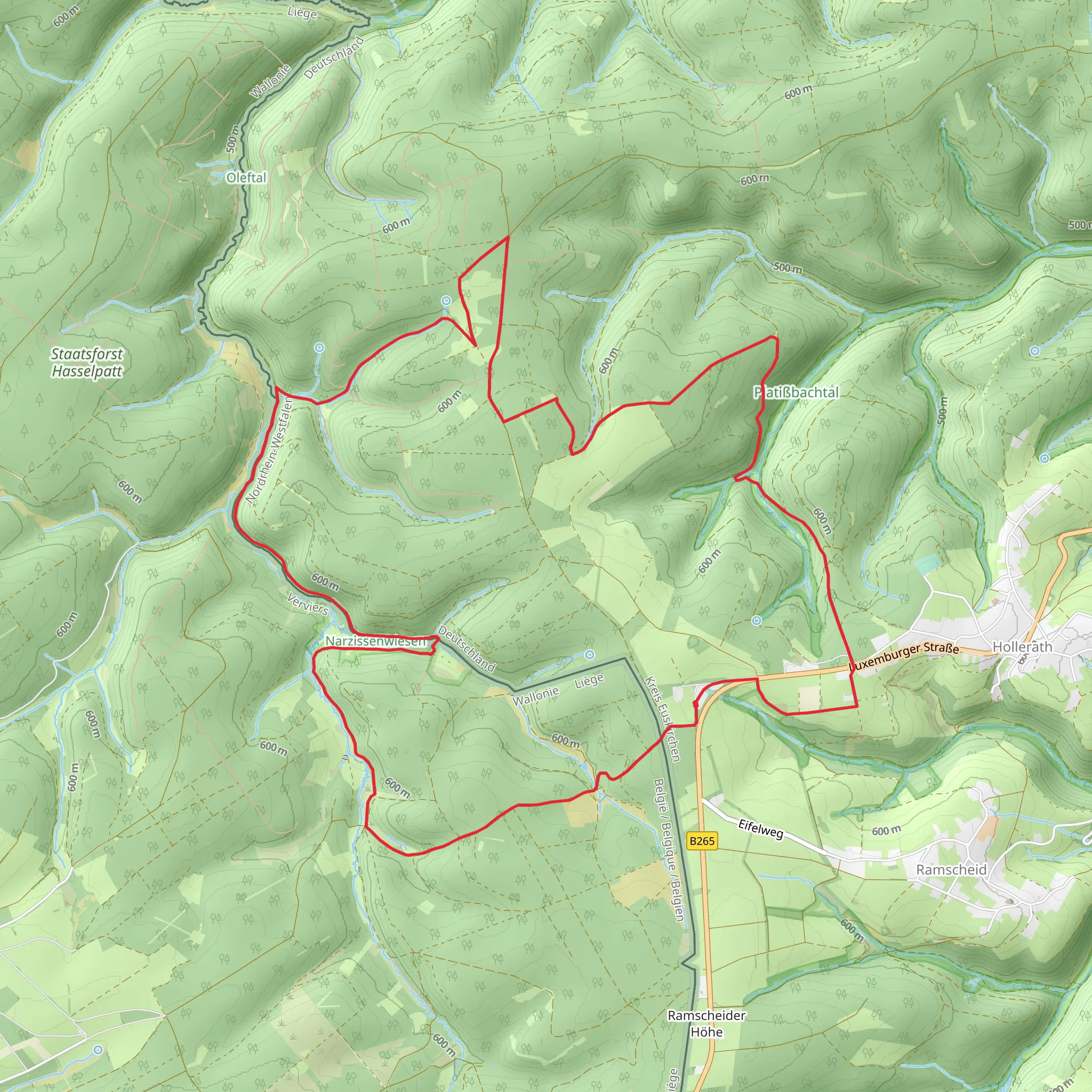 Hollerath Loop mobile static map
