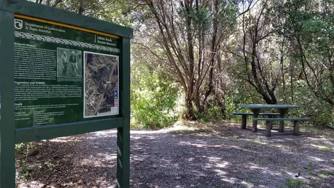 Okitu Bush Scenic Reserve Walk