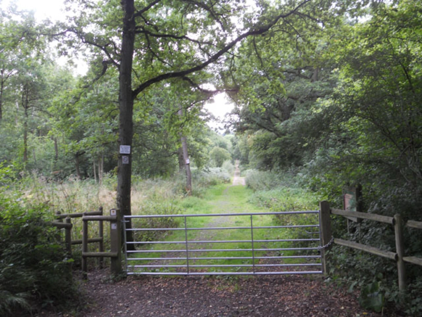 An image depicting the trail Chaddesley Wood Long Loop and its surrounding area.