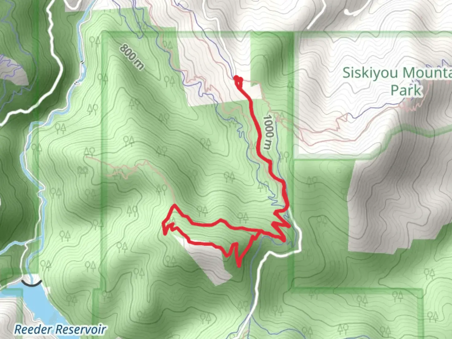 An image depicting the trail Caterpillar Trail and Lewis Loops - Gyre Loop and its surrounding area.