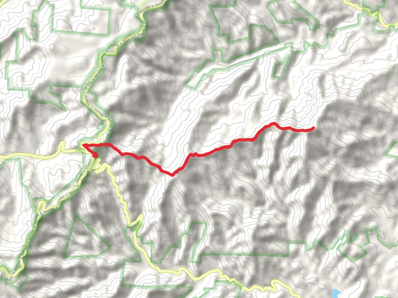 Woods Mountain Trail from Buck Creek Gap