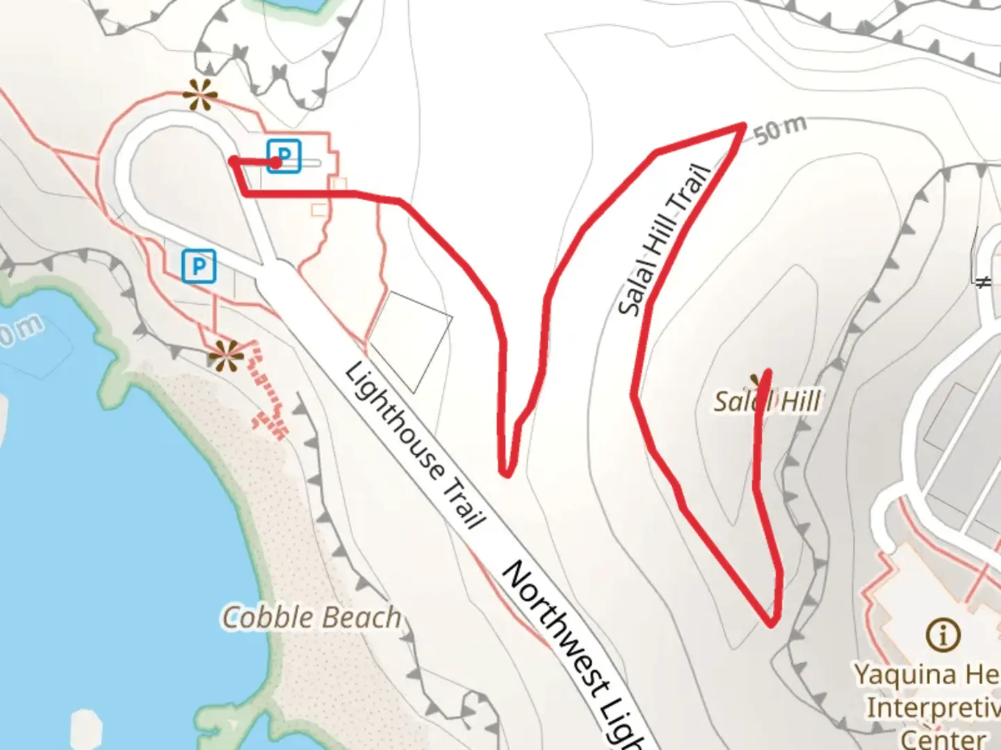An image depicting the trail Salal Hill and its surrounding area.