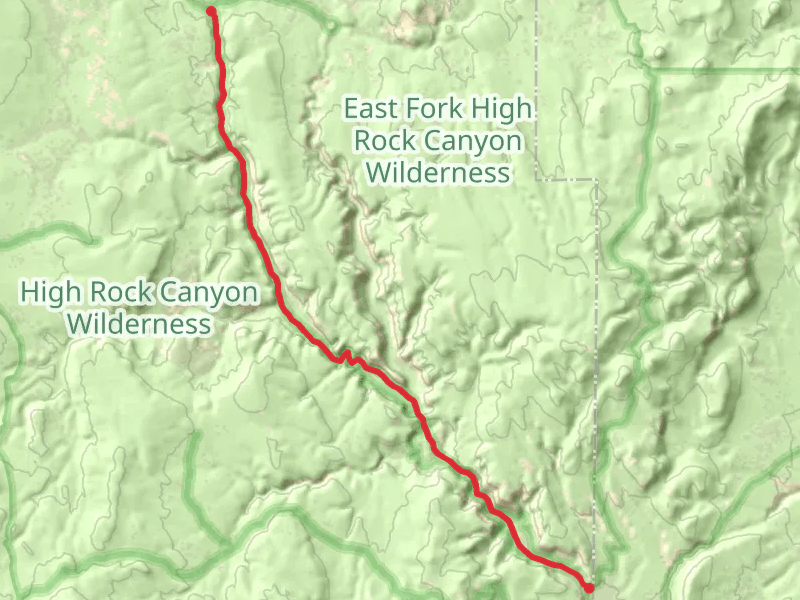 Walk along High Rock Creek - High Rock Lake