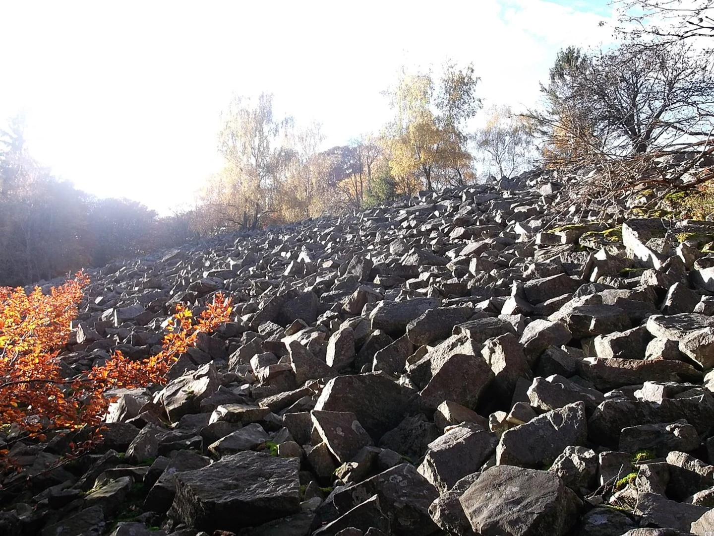 An image depicting the trail Oberer Maßbornweg, Pflasterweg and Weiße Mauer Loop and its surrounding area.