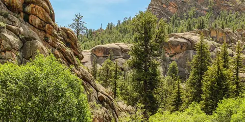 An image depicting the trail Lost Creek Wilderness Loop and its surrounding area.