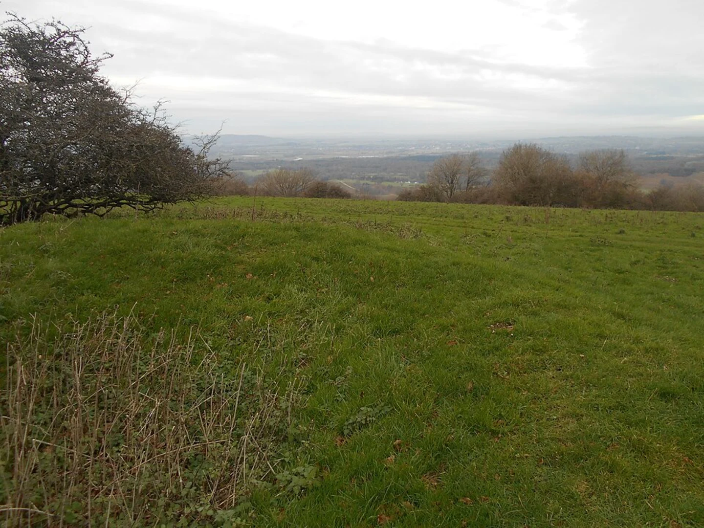 An image depicting the trail Arundel, Houghton and Warningcamp Loop and its surrounding area.