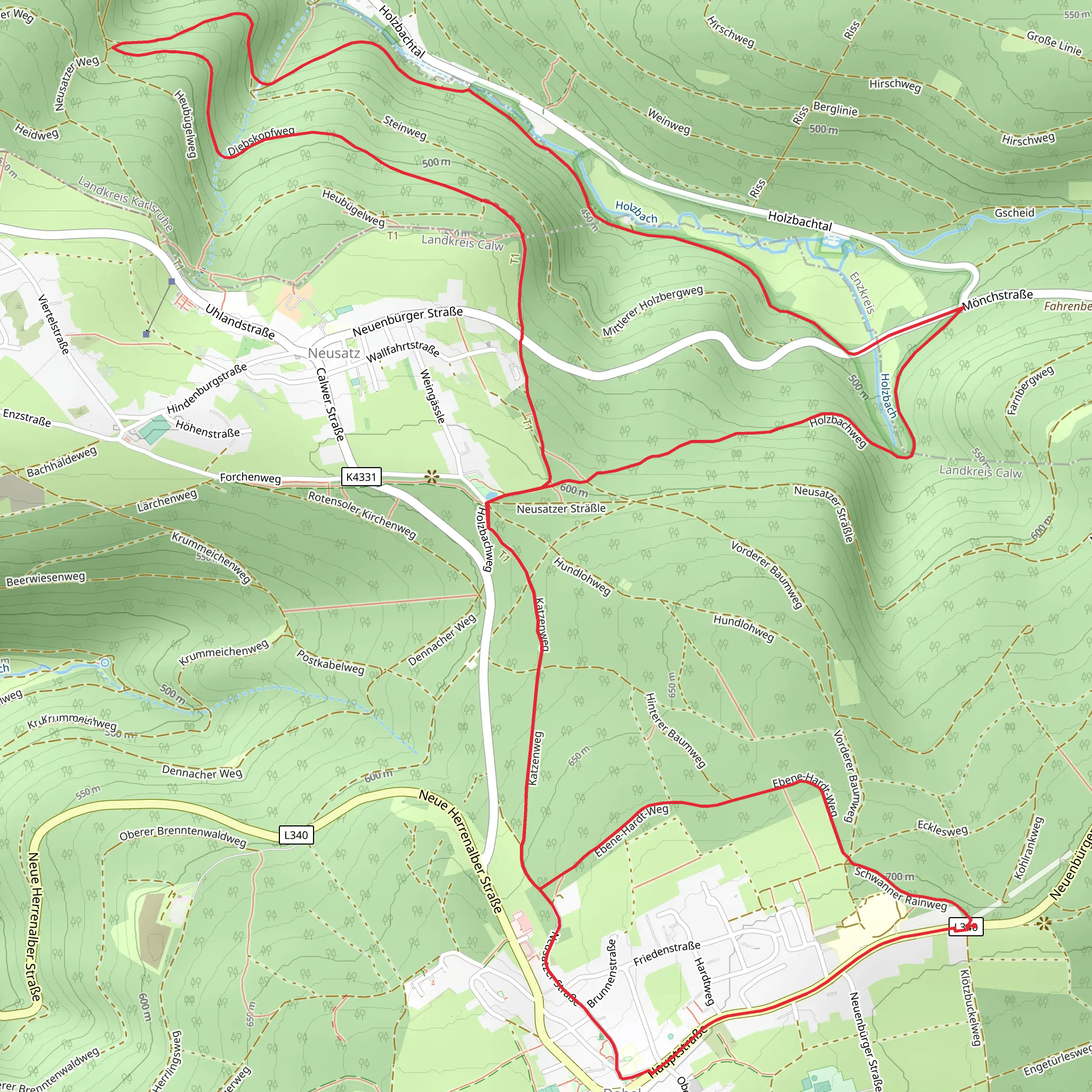 Diebskopfweg and Holzbachweg Loop mobile static map