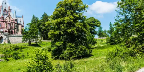 An image depicting the trail Felsenland Sagenweg and its surrounding area.
