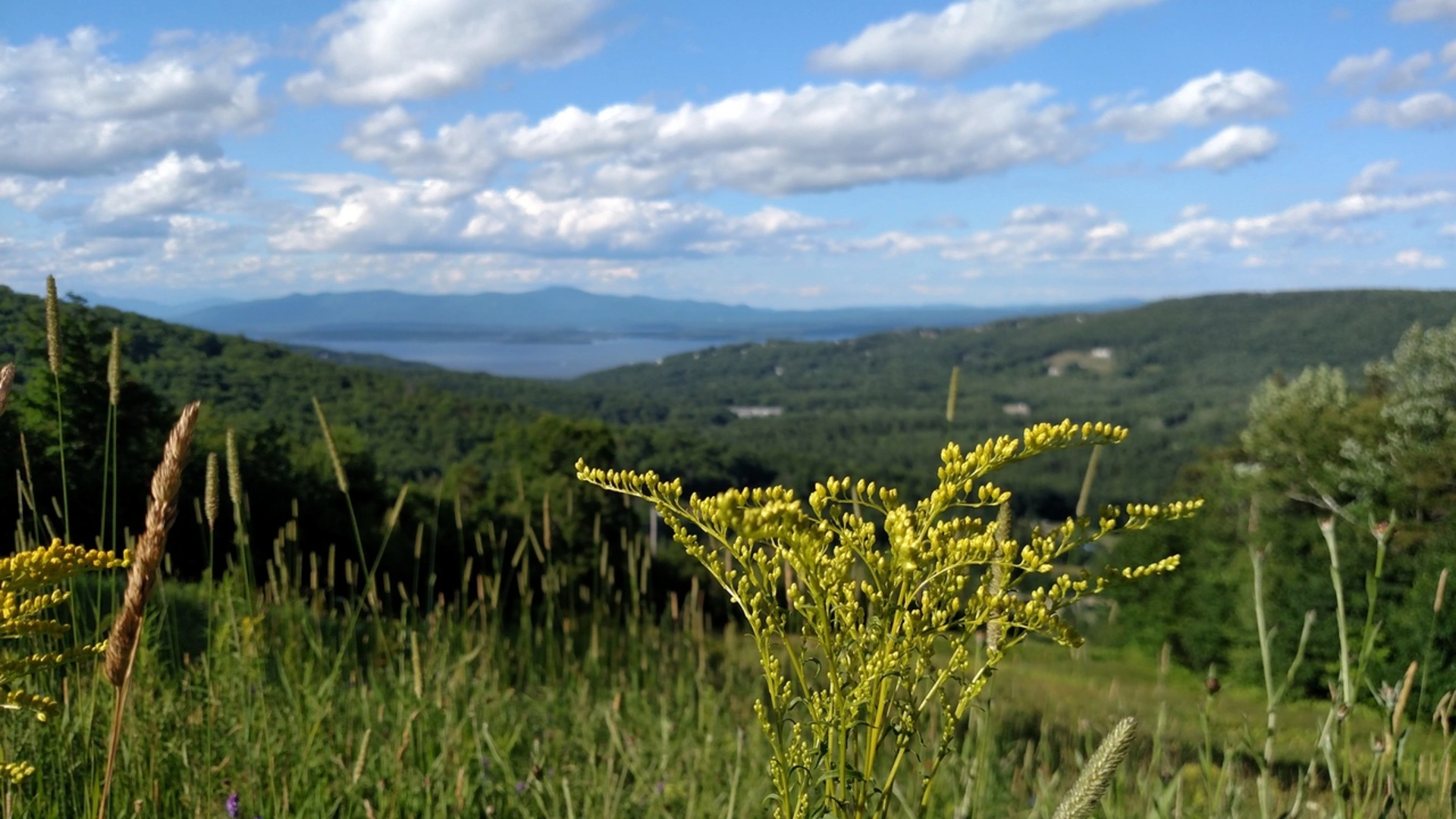 An image depicting the trail Gunstock Mountain and Belknap Mountain Loop and its surrounding area.