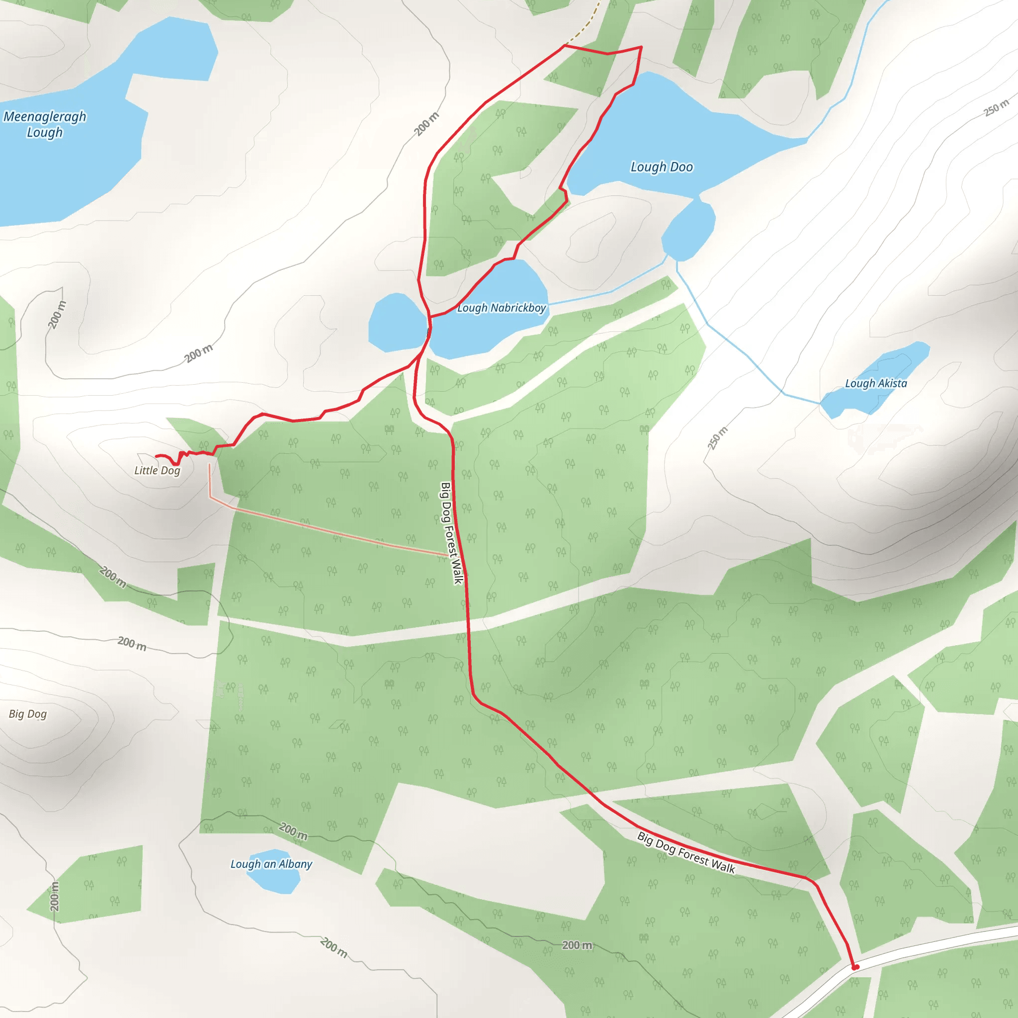 Big Dog Forest – Big Dog Walk mobile static map