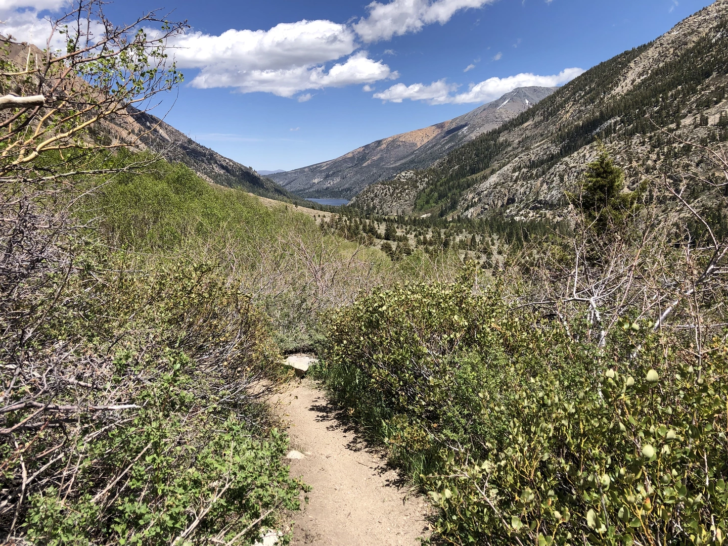 An image depicting the trail Barney Lake via Robinson Creek Trail and its surrounding area.