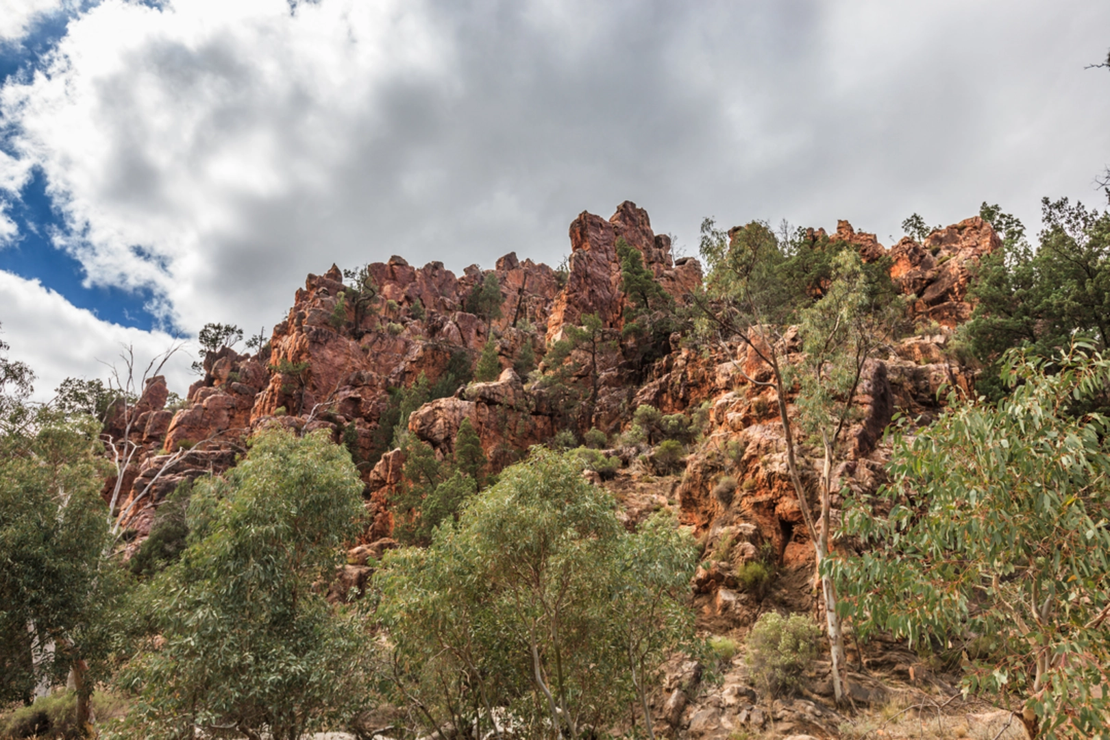 An image depicting the trail Warren Gorge Trail and its surrounding area.