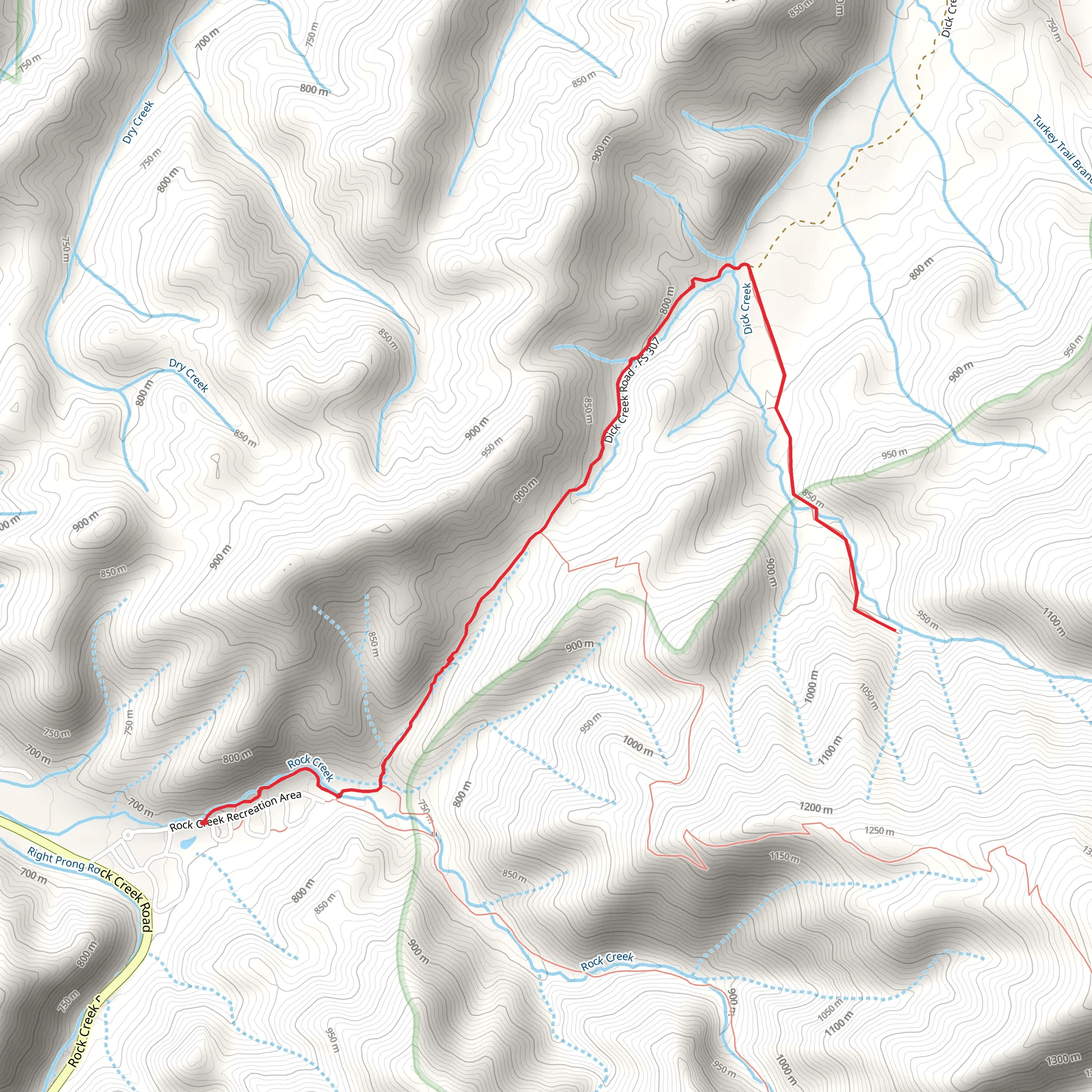 Rattlesnake Ridge Trail and Dick Creek mobile static map
