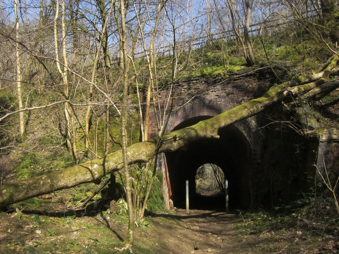 An image depicting the trail Chedworth Wood Short Loop and its surrounding area.