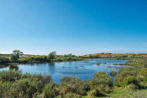 Wellenseind to Bladel via De Flaes and Het Goor