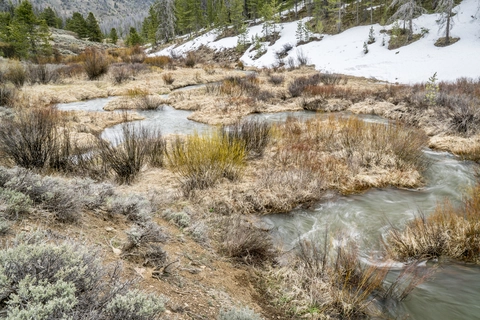 An image depicting the trail Bowen Gulch to Willow Creek Pass via CDT and its surrounding area.