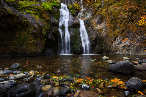 An image depicting the trail Ney Springs and Faery Falls Trail and its surrounding area.