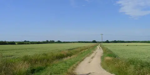 An image depicting the trail Water Rail Way and its surrounding area.