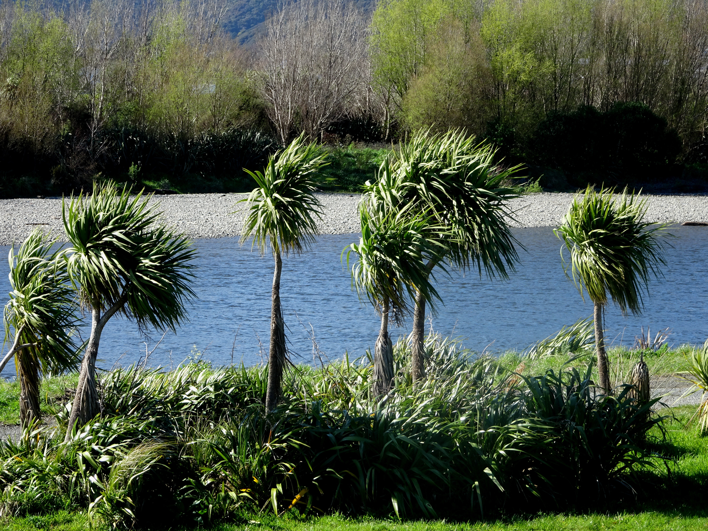An image depicting the trail Hutt River Trail from Trentham Memorial Park and its surrounding area.